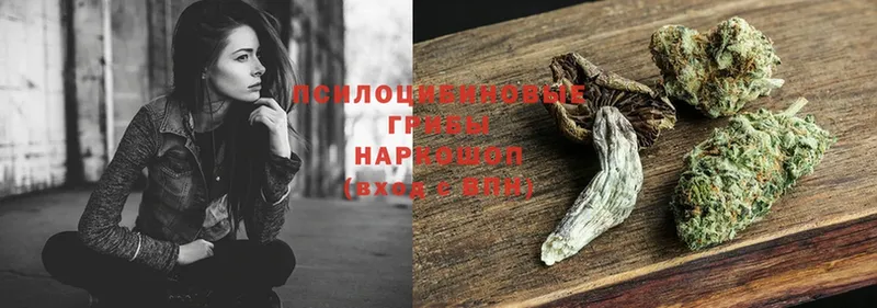 наркота  Екатеринбург  Галлюциногенные грибы MAGIC MUSHROOMS 